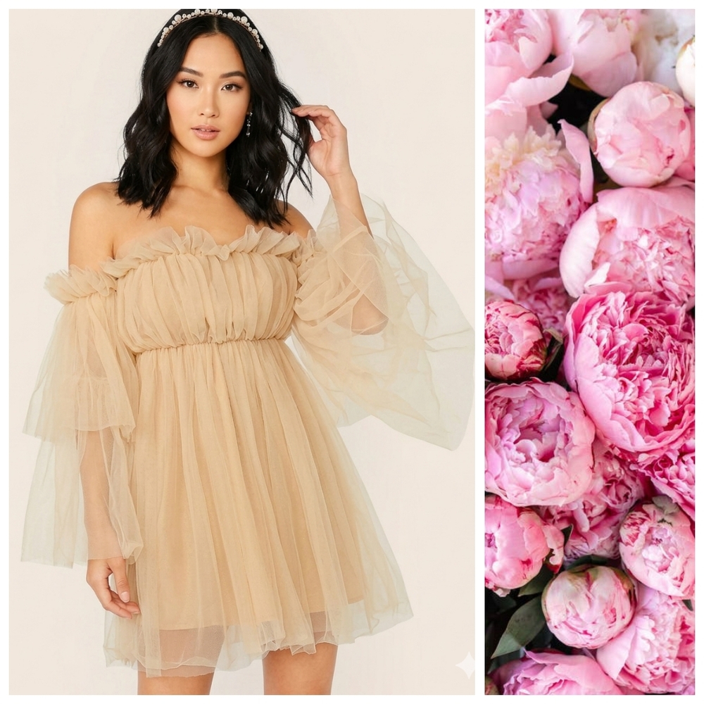 Shein Cream Tulle Off Shoulder Mini Dress